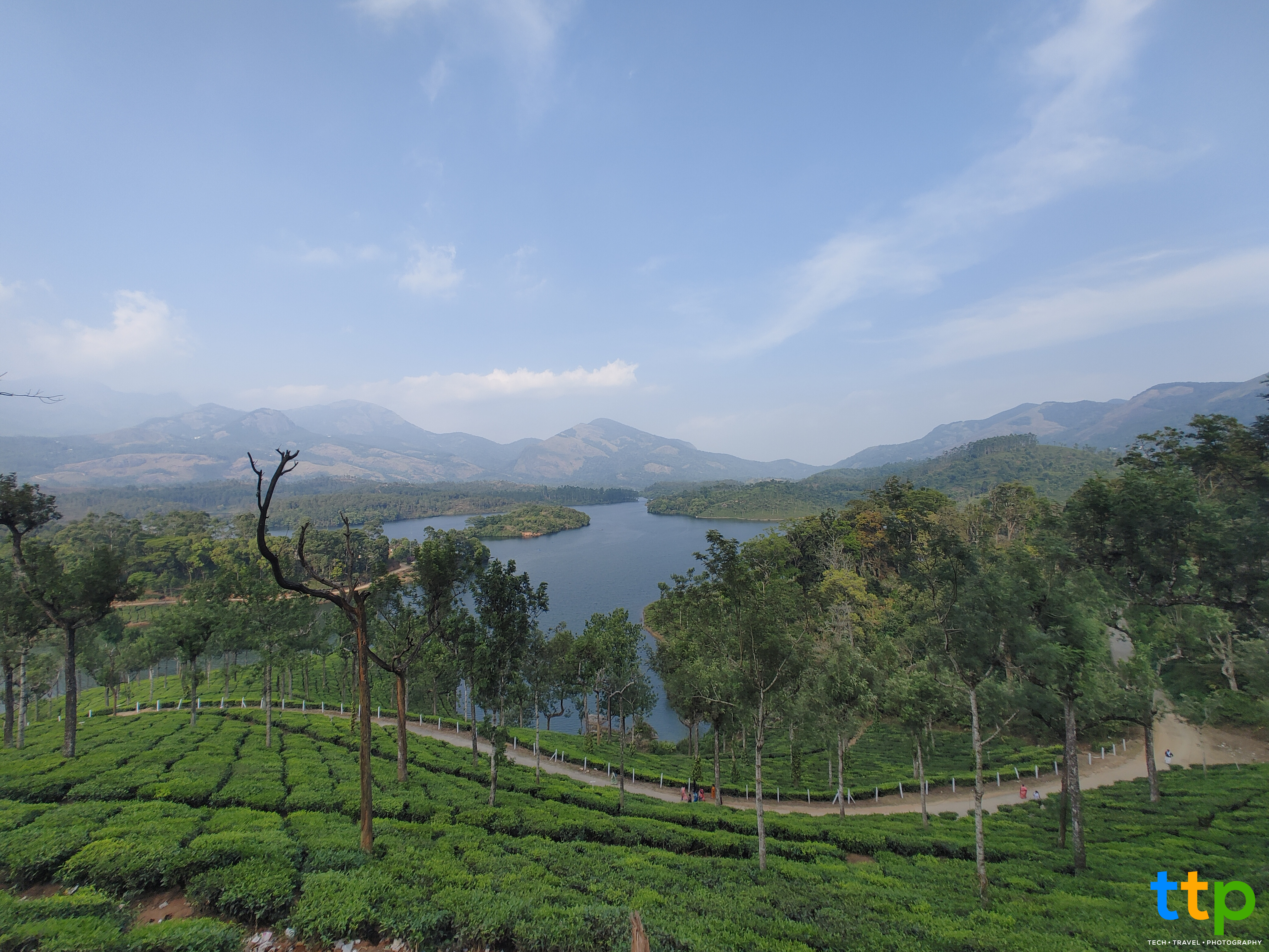 Munnar-tea-estate-view